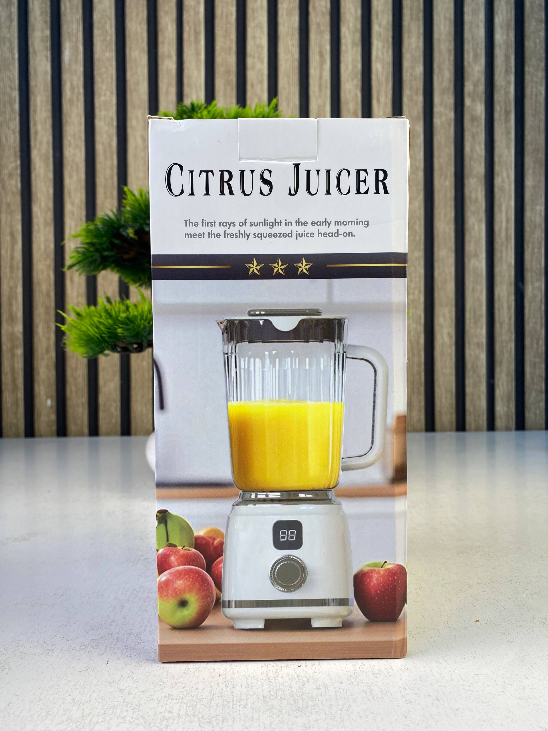 Extracteur de Jus Portable et Mélangeur Électrique